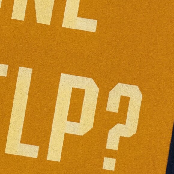 What've I Done To Help Camp Flag • Jason Isbell x Oxford Pennant - Picture 4 of 5